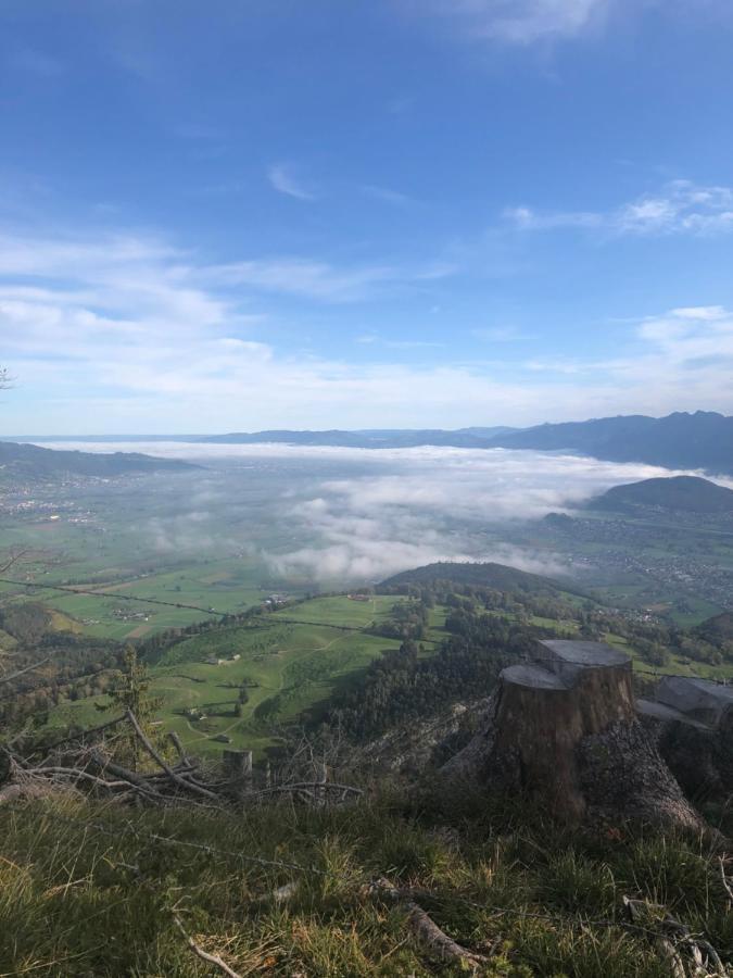 Отель Montlinger Schwamm Oberriet Экстерьер фото