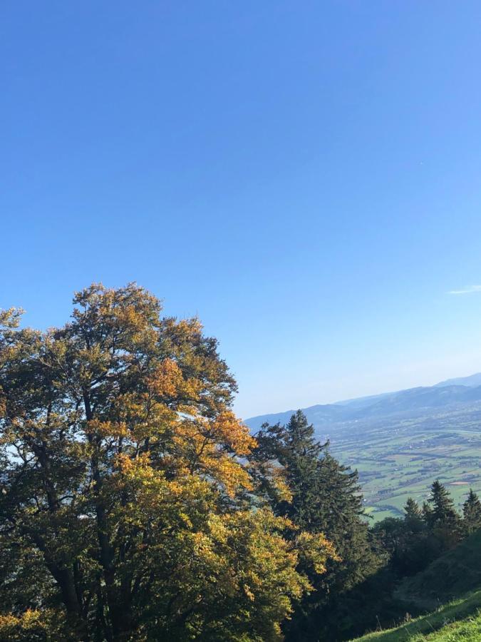 Отель Montlinger Schwamm Oberriet Экстерьер фото
